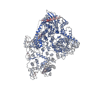 18408_8qhd_A_v1-0
Hantaan virus polymerase in hexameric state