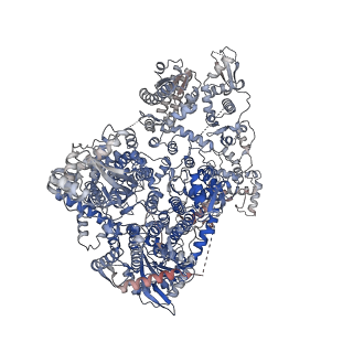 18408_8qhd_B_v1-0
Hantaan virus polymerase in hexameric state