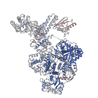 18408_8qhd_C_v1-0
Hantaan virus polymerase in hexameric state