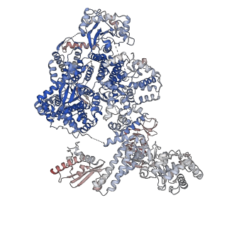 18408_8qhd_E_v1-0
Hantaan virus polymerase in hexameric state