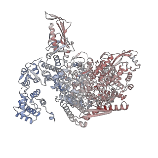 18408_8qhd_F_v1-0
Hantaan virus polymerase in hexameric state