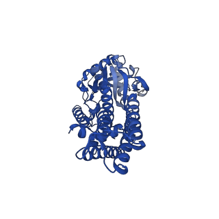 18415_8qhp_A_v1-2
Cysteine tRNA ligase homodimer