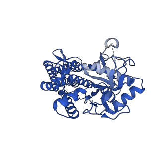 18415_8qhp_B_v1-0
Cysteine tRNA ligase homodimer