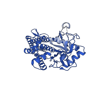 18415_8qhp_B_v1-2
Cysteine tRNA ligase homodimer