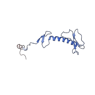 13981_7qi5_0_v1-2
Human mitochondrial ribosome in complex with mRNA, A/A-, P/P- and E/E-tRNAs at 2.63 A resolution