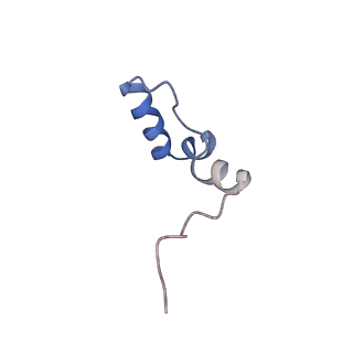13981_7qi5_2_v1-2
Human mitochondrial ribosome in complex with mRNA, A/A-, P/P- and E/E-tRNAs at 2.63 A resolution