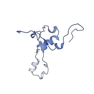 13981_7qi5_3_v1-2
Human mitochondrial ribosome in complex with mRNA, A/A-, P/P- and E/E-tRNAs at 2.63 A resolution