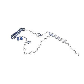 13981_7qi5_8_v1-2
Human mitochondrial ribosome in complex with mRNA, A/A-, P/P- and E/E-tRNAs at 2.63 A resolution