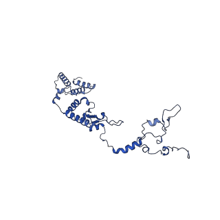 13981_7qi5_A1_v1-2
Human mitochondrial ribosome in complex with mRNA, A/A-, P/P- and E/E-tRNAs at 2.63 A resolution