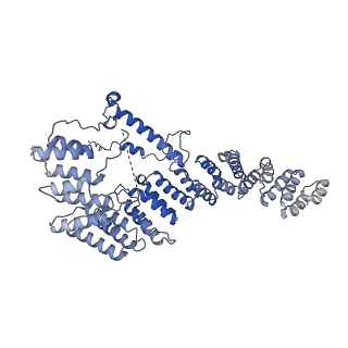 13981_7qi5_A4_v1-2
Human mitochondrial ribosome in complex with mRNA, A/A-, P/P- and E/E-tRNAs at 2.63 A resolution