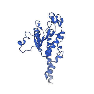13981_7qi5_AB_v1-2
Human mitochondrial ribosome in complex with mRNA, A/A-, P/P- and E/E-tRNAs at 2.63 A resolution