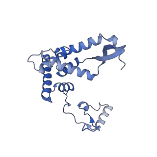 13981_7qi5_AF_v2-1
Human mitochondrial ribosome in complex with mRNA, A/A-, P/P- and E/E-tRNAs at 2.63 A resolution