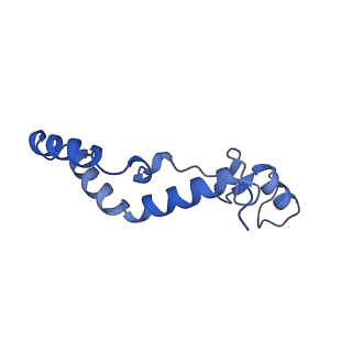 13981_7qi5_AK_v1-2
Human mitochondrial ribosome in complex with mRNA, A/A-, P/P- and E/E-tRNAs at 2.63 A resolution