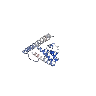 13981_7qi5_AL_v1-2
Human mitochondrial ribosome in complex with mRNA, A/A-, P/P- and E/E-tRNAs at 2.63 A resolution