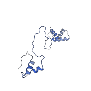 13981_7qi5_AS_v1-2
Human mitochondrial ribosome in complex with mRNA, A/A-, P/P- and E/E-tRNAs at 2.63 A resolution