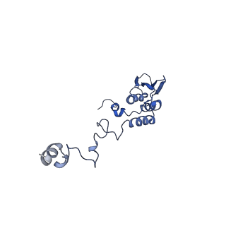 13981_7qi5_AT_v1-2
Human mitochondrial ribosome in complex with mRNA, A/A-, P/P- and E/E-tRNAs at 2.63 A resolution