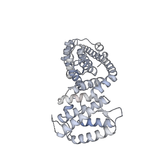 13981_7qi5_AV_v1-2
Human mitochondrial ribosome in complex with mRNA, A/A-, P/P- and E/E-tRNAs at 2.63 A resolution
