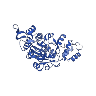 13981_7qi5_AX_v1-2
Human mitochondrial ribosome in complex with mRNA, A/A-, P/P- and E/E-tRNAs at 2.63 A resolution