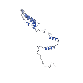 13981_7qi5_AY_v1-2
Human mitochondrial ribosome in complex with mRNA, A/A-, P/P- and E/E-tRNAs at 2.63 A resolution