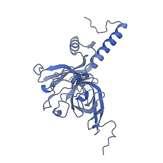 13981_7qi5_E_v1-2
Human mitochondrial ribosome in complex with mRNA, A/A-, P/P- and E/E-tRNAs at 2.63 A resolution