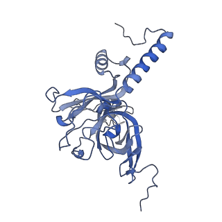 13981_7qi5_E_v2-1
Human mitochondrial ribosome in complex with mRNA, A/A-, P/P- and E/E-tRNAs at 2.63 A resolution