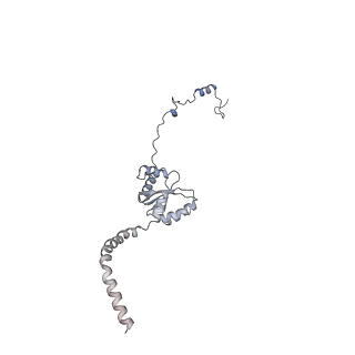 13981_7qi5_I_v1-2
Human mitochondrial ribosome in complex with mRNA, A/A-, P/P- and E/E-tRNAs at 2.63 A resolution