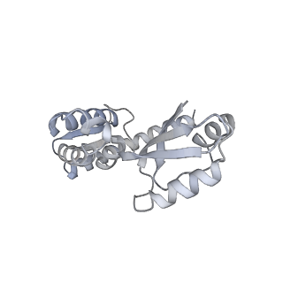 13981_7qi5_J_v1-2
Human mitochondrial ribosome in complex with mRNA, A/A-, P/P- and E/E-tRNAs at 2.63 A resolution