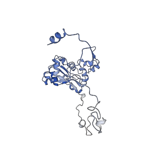 13981_7qi5_M_v1-2
Human mitochondrial ribosome in complex with mRNA, A/A-, P/P- and E/E-tRNAs at 2.63 A resolution