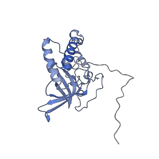 13981_7qi5_Q_v1-2
Human mitochondrial ribosome in complex with mRNA, A/A-, P/P- and E/E-tRNAs at 2.63 A resolution