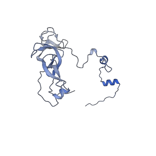 13981_7qi5_V_v1-2
Human mitochondrial ribosome in complex with mRNA, A/A-, P/P- and E/E-tRNAs at 2.63 A resolution