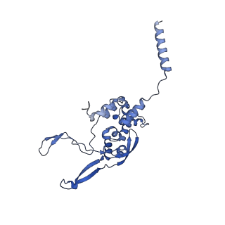 13981_7qi5_X_v1-2
Human mitochondrial ribosome in complex with mRNA, A/A-, P/P- and E/E-tRNAs at 2.63 A resolution
