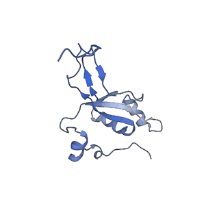 13981_7qi5_Z_v1-2
Human mitochondrial ribosome in complex with mRNA, A/A-, P/P- and E/E-tRNAs at 2.63 A resolution