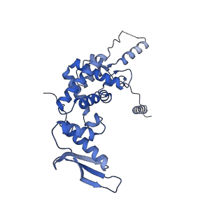 13981_7qi5_c_v1-2
Human mitochondrial ribosome in complex with mRNA, A/A-, P/P- and E/E-tRNAs at 2.63 A resolution