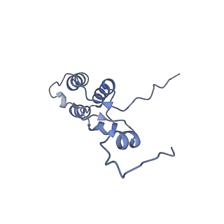 13981_7qi5_h_v1-2
Human mitochondrial ribosome in complex with mRNA, A/A-, P/P- and E/E-tRNAs at 2.63 A resolution