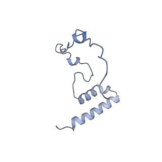 13981_7qi5_i_v1-2
Human mitochondrial ribosome in complex with mRNA, A/A-, P/P- and E/E-tRNAs at 2.63 A resolution