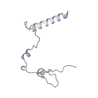 13981_7qi5_l_v1-2
Human mitochondrial ribosome in complex with mRNA, A/A-, P/P- and E/E-tRNAs at 2.63 A resolution