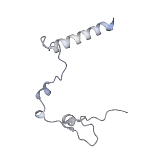 13981_7qi5_l_v2-1
Human mitochondrial ribosome in complex with mRNA, A/A-, P/P- and E/E-tRNAs at 2.63 A resolution