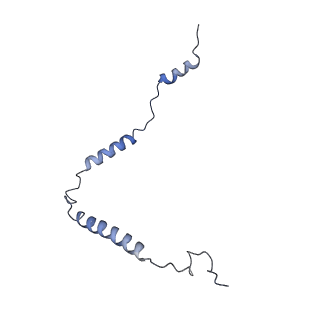 13981_7qi5_o_v1-2
Human mitochondrial ribosome in complex with mRNA, A/A-, P/P- and E/E-tRNAs at 2.63 A resolution