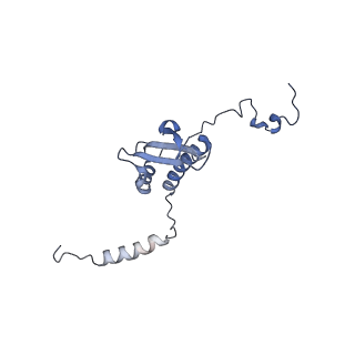 13981_7qi5_p_v1-2
Human mitochondrial ribosome in complex with mRNA, A/A-, P/P- and E/E-tRNAs at 2.63 A resolution