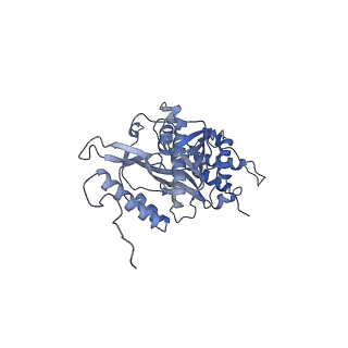 13981_7qi5_s_v1-2
Human mitochondrial ribosome in complex with mRNA, A/A-, P/P- and E/E-tRNAs at 2.63 A resolution
