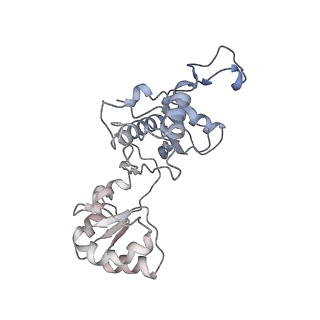 13981_7qi5_z_v1-2
Human mitochondrial ribosome in complex with mRNA, A/A-, P/P- and E/E-tRNAs at 2.63 A resolution