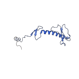 13982_7qi6_0_v1-1
Human mitochondrial ribosome in complex with mRNA, A/P- and P/E-tRNAs at 2.98 A resolution