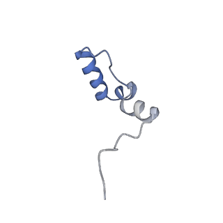 13982_7qi6_2_v1-1
Human mitochondrial ribosome in complex with mRNA, A/P- and P/E-tRNAs at 2.98 A resolution
