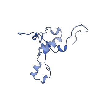 13982_7qi6_3_v1-1
Human mitochondrial ribosome in complex with mRNA, A/P- and P/E-tRNAs at 2.98 A resolution
