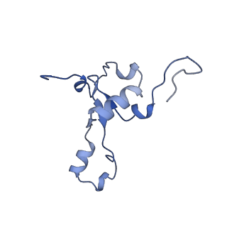 13982_7qi6_3_v2-1
Human mitochondrial ribosome in complex with mRNA, A/P- and P/E-tRNAs at 2.98 A resolution