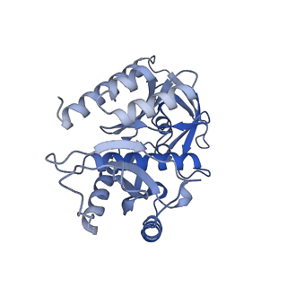 13982_7qi6_7_v2-1
Human mitochondrial ribosome in complex with mRNA, A/P- and P/E-tRNAs at 2.98 A resolution