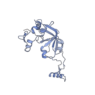 13982_7qi6_A0_v2-1
Human mitochondrial ribosome in complex with mRNA, A/P- and P/E-tRNAs at 2.98 A resolution