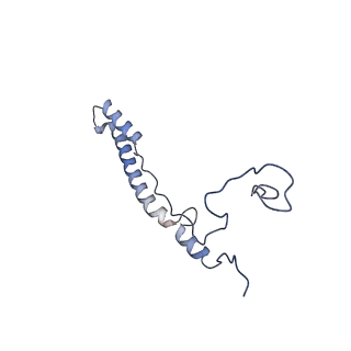13982_7qi6_A2_v1-1
Human mitochondrial ribosome in complex with mRNA, A/P- and P/E-tRNAs at 2.98 A resolution