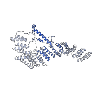 13982_7qi6_A4_v1-1
Human mitochondrial ribosome in complex with mRNA, A/P- and P/E-tRNAs at 2.98 A resolution