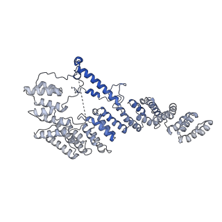 13982_7qi6_A4_v2-1
Human mitochondrial ribosome in complex with mRNA, A/P- and P/E-tRNAs at 2.98 A resolution